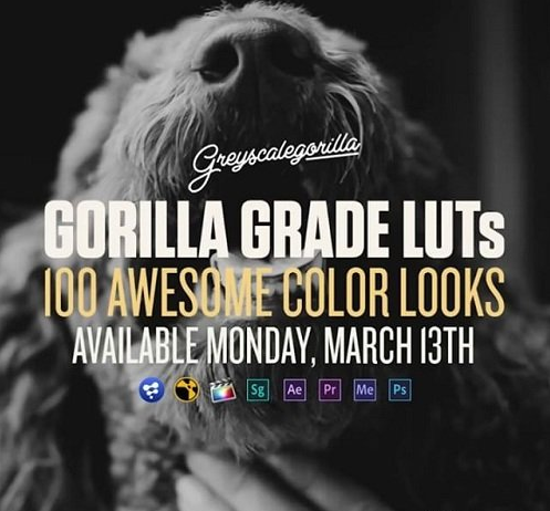 Greyscale Gorilla - Gorillla Grade LUTs for Final Cut Pro X (Mac OS X)