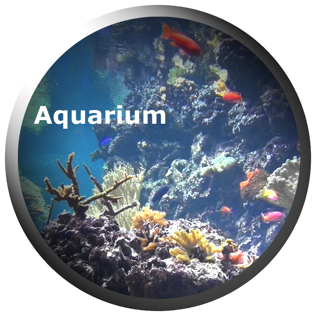 Aquarium Videos 2.4 for mac  视频和高清鱼水族馆屏保程序