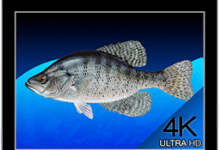 Aquarium 4K - Live Wallpaper 1.0.1 壁纸应用程序