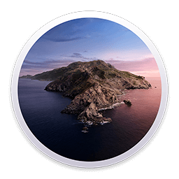 macOS Catalina 10.15.4 (19E266)