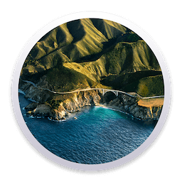 macOS Big Sur 11.7 (20G817) macOS