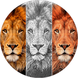 Sketch N Cartoonize 3.4 macOS