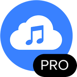 4K YouTube to MP3 Pro 4.9.0 macOS