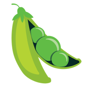 Fresh 4.0.5 macOS