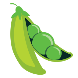Fresh 4.0.7 macOS
