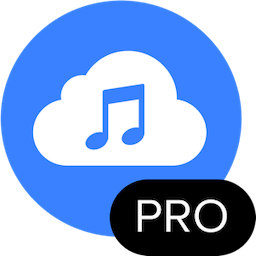 4K YouTube to MP3 Pro 4.9.5 macOS