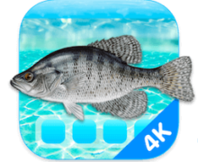Aquarium 4K - Live Wallpaper 1.0.5 macOS