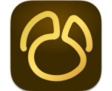 Navicat Premium 17.1.7 macOS