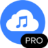 4K YouTube to MP3 Pro 5.7.3 macOS