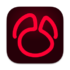 Navicat for Oracle 17.1.9 macOS