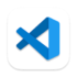 Visual Studio Code 1.100.0 macOS