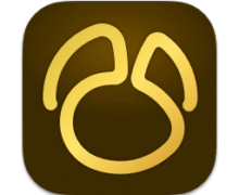 Navicat Premium 17.3.3 macOS