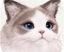 inZOI 0.3.1 macOS